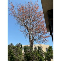 東南國中-升學博覽會
雲林縣東南國中

114年03月25日